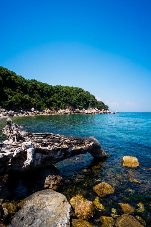 Ξενοδοχείο Bebis Kókkinon Nerón